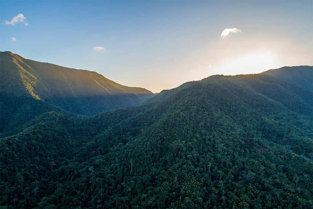 Maya Mountain Belize: Why Cacao Origin Determines Everything