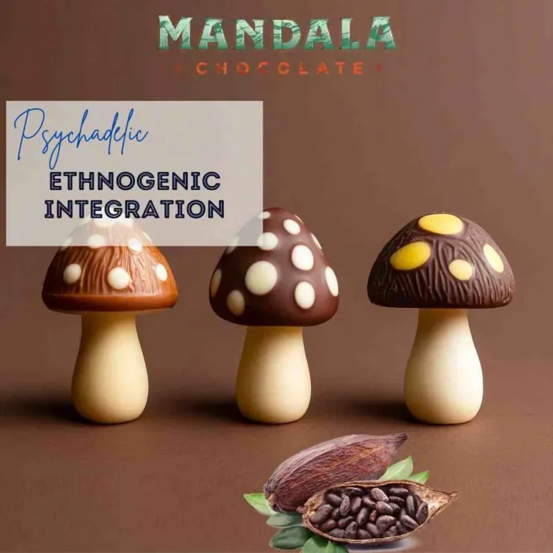Innovative Psychedelic Integration Support with Mandala Chocolate