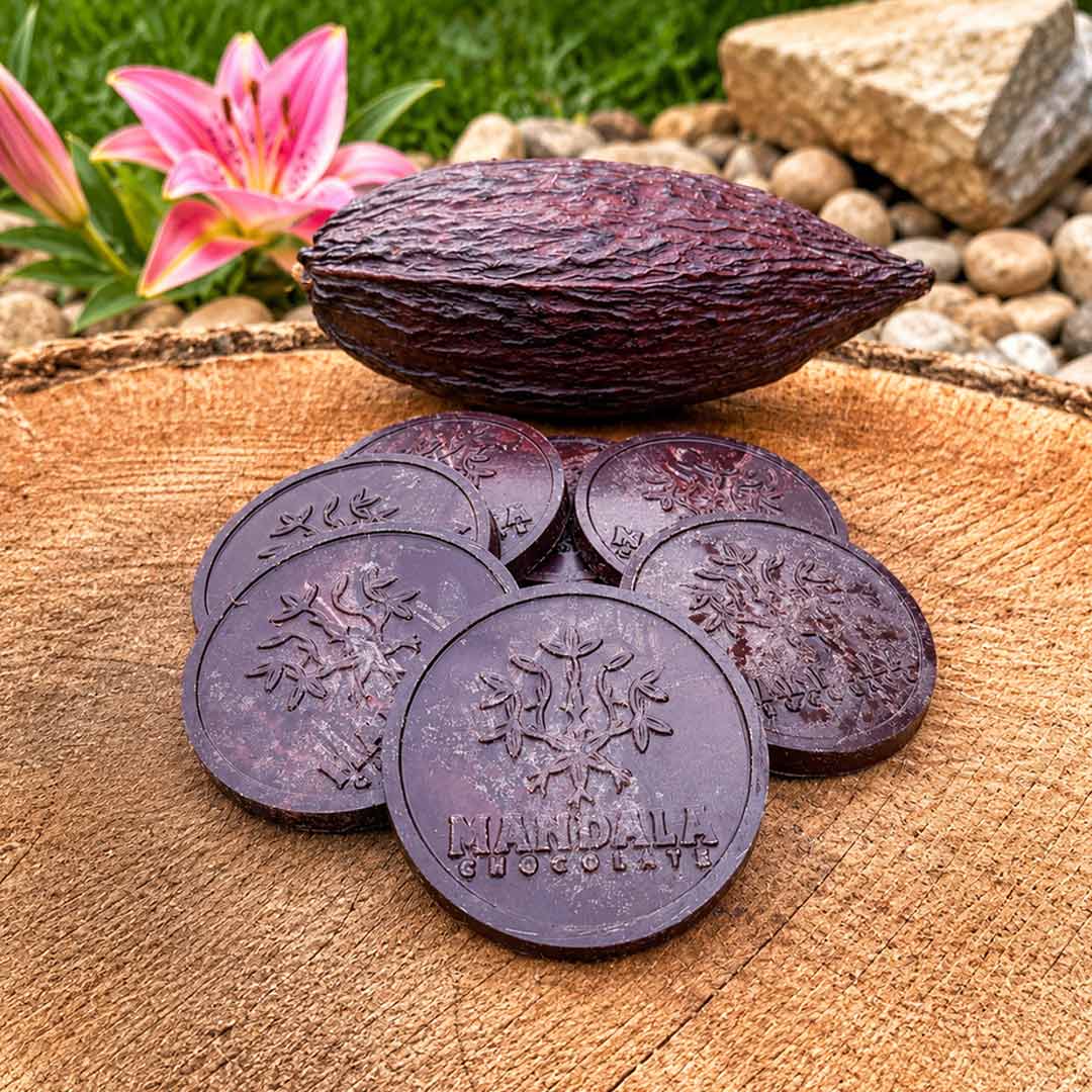 What Is Ceremonial Cacao? A Producer's Answer