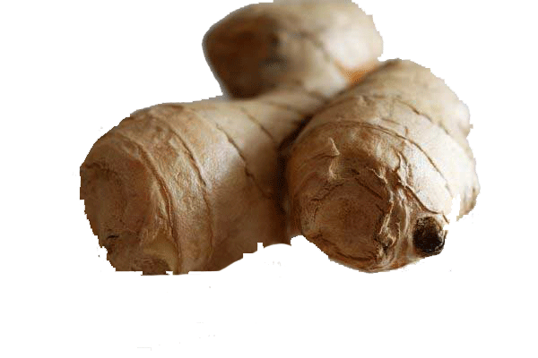 Ginger