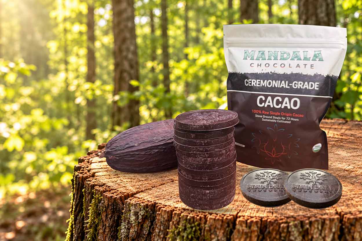 Mandala Chocolate ceremonial-grade cacao pouch with stacked cacao discs and a cacao pod on a tree stump in a sunlit forest
