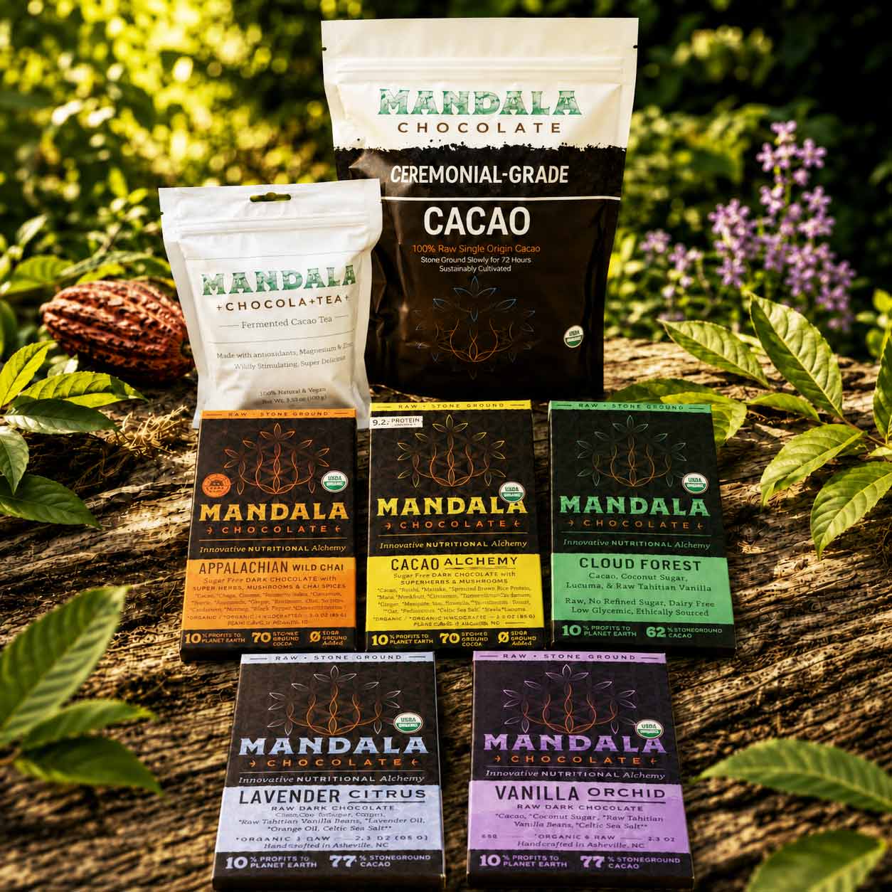 Mandala Chocolate product lineup — ceremonial cacao, Chocola+Tea, and five stone-ground bars on a forest log