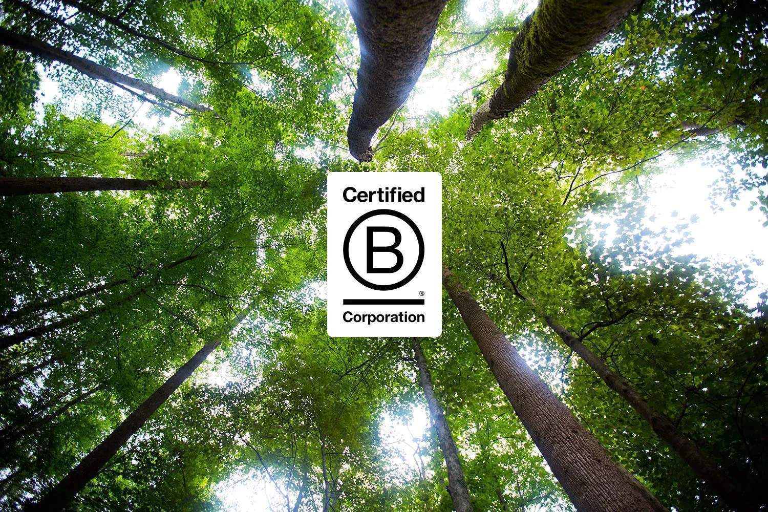 Certified B Corporation