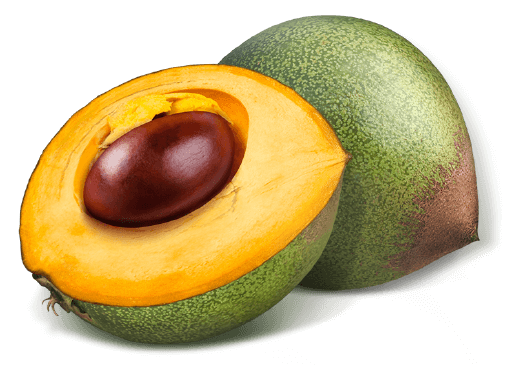 Lucuma Chocolate Ingredient