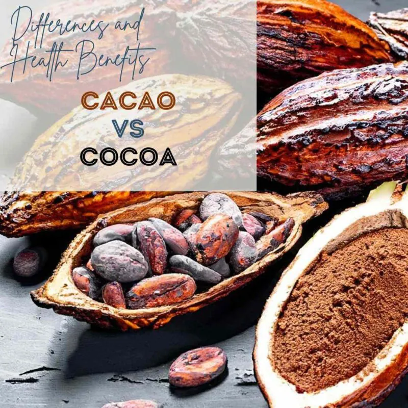 Cacao vs. Cocoa