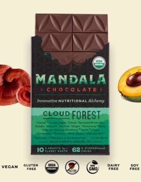 Cloud Forest Cacao
